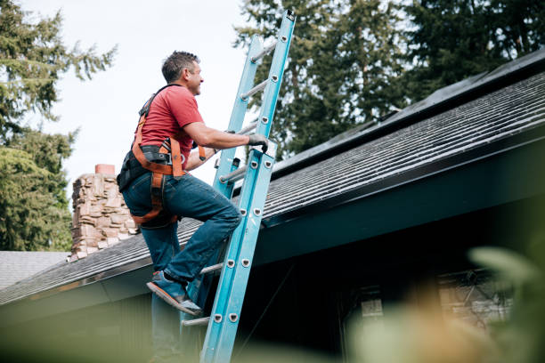 Best Asphalt Shingles Roofing  in Cedar Point, NC