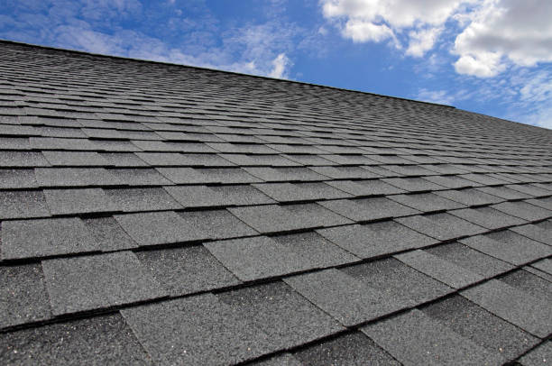 Best Gutter Installation and Repair  in Cedar Point, NC